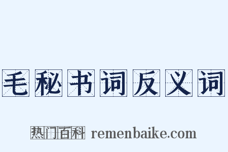 毛秘书词反义词是什么意思的图片